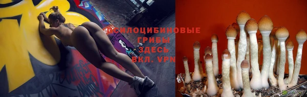молекула духа Армянск