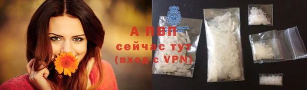 гидра Арсеньев