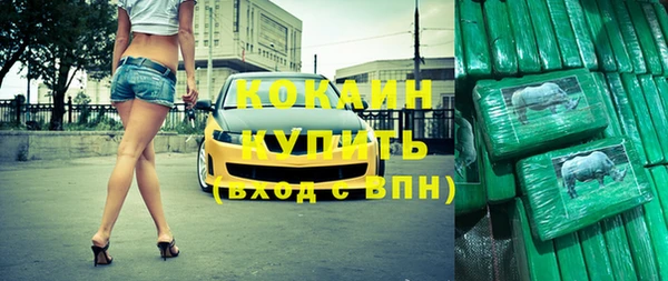 гидра Арсеньев