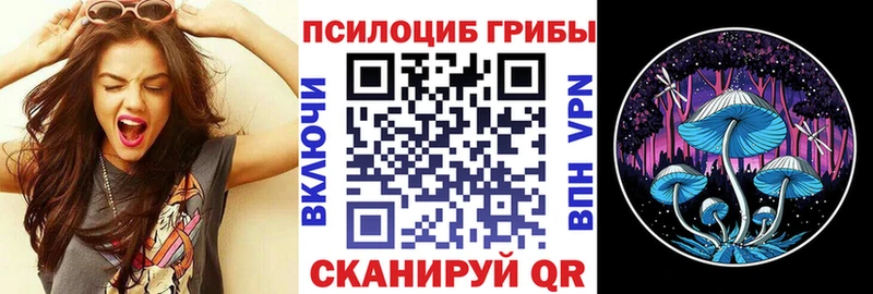 Псилоцибиновые грибы MAGIC MUSHROOMS Зима